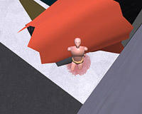 Diversion 042.jpg